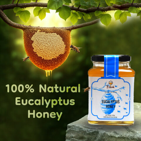 eucalyptus-honey