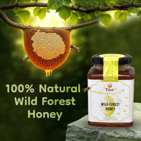 wild-forest-honey